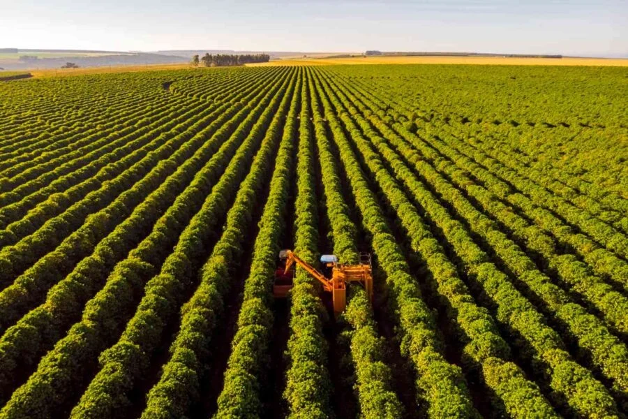 Estudos de Resíduos Agroquímicos