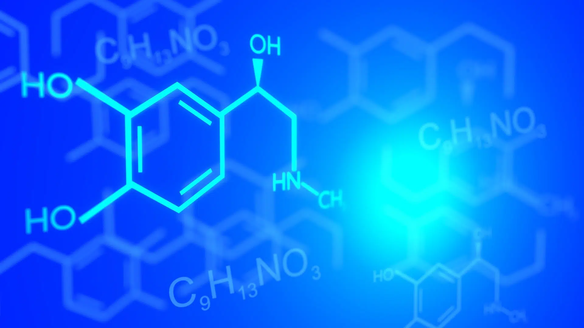 Caracterização Química